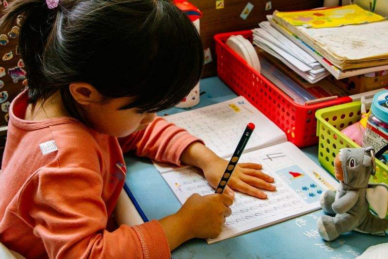 Primary and secondary tuition classes